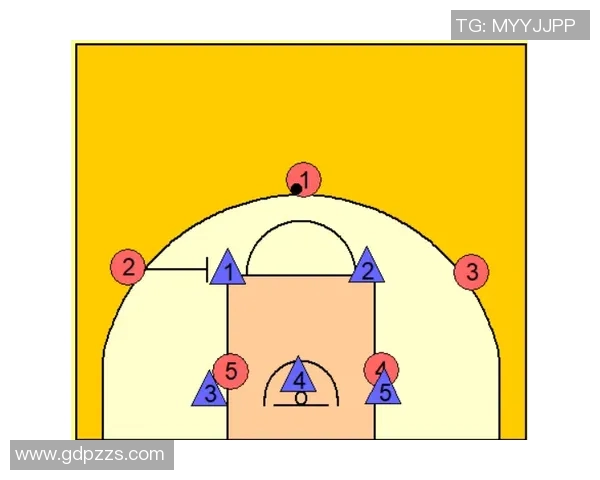 深圳篮球队战术表现深度分析与数据解读探讨 深圳篮球队战术表现深度分析与数据解读探讨