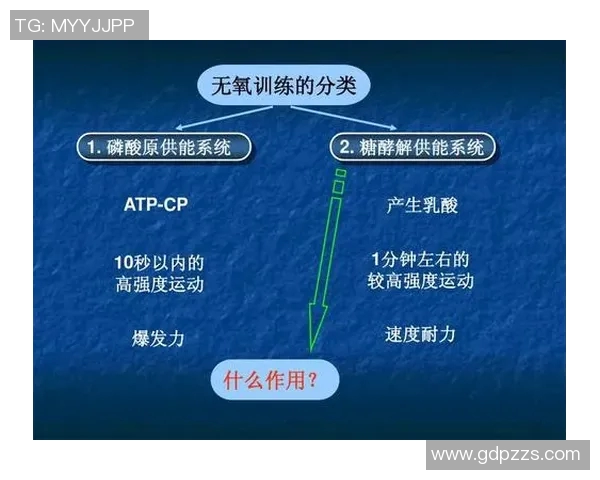 广州羽毛球队的战术解析与控制策略深度剖析