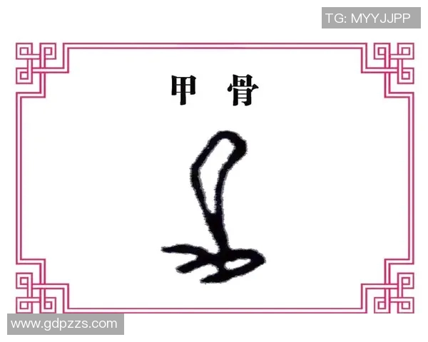 汉字演变与足球明星的奇妙交融探索之旅