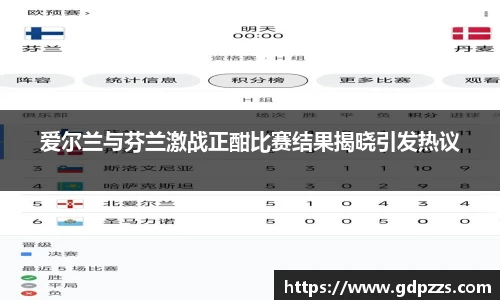爱尔兰与芬兰激战正酣比赛结果揭晓引发热议